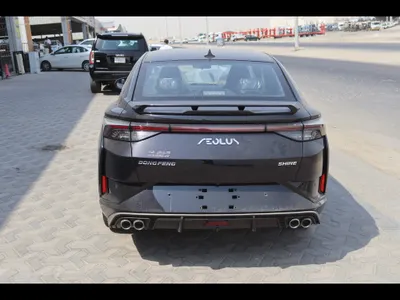 2025 Dongfeng Shine