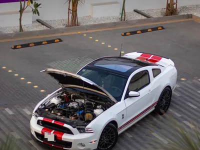 2013 فورد موستانغ شيلبي جي تي 500
