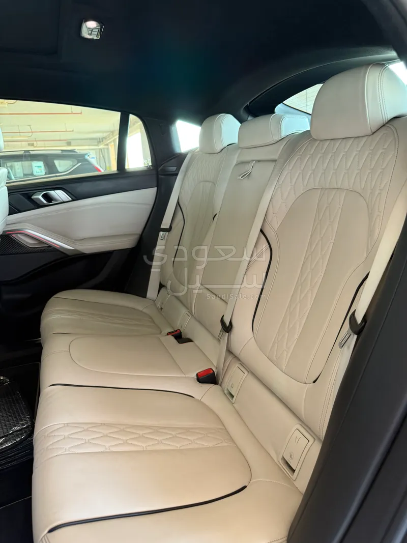 2020 BMW X Series 6 M50i