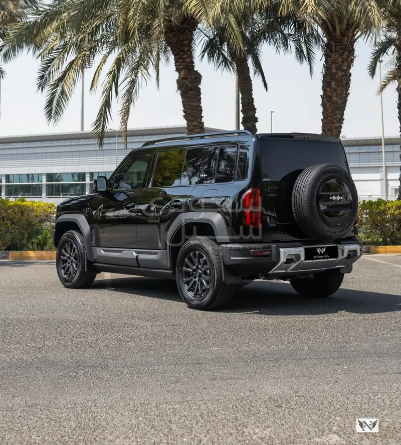2025 بي واي دي ليوبارد 5