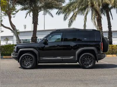 2025 بي واي دي ليوبارد 5