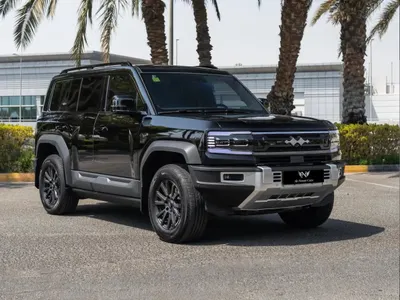 2025 بي واي دي ليوبارد 5
