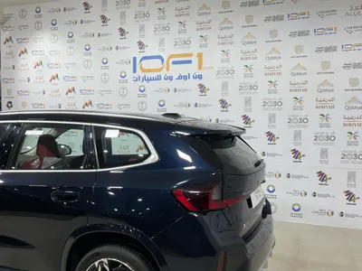 2024 BMW X Series 1
