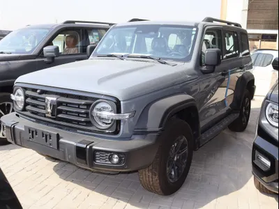 2025 تانك 300