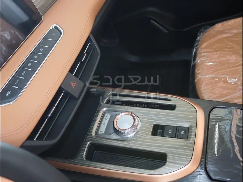 2025 هافال جوليون
