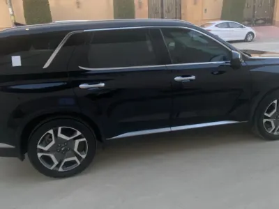 2025 هيونداي باليسيد