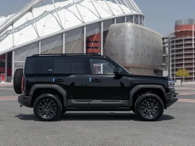 2026 بي واي دي ليوبارد 5