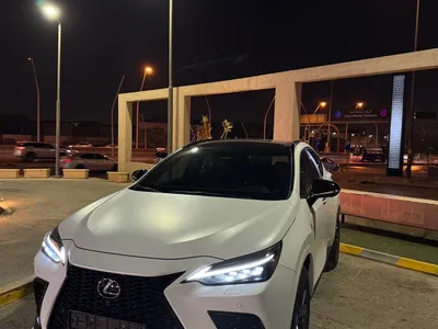 2025 لكزس إن إكس 350 إف