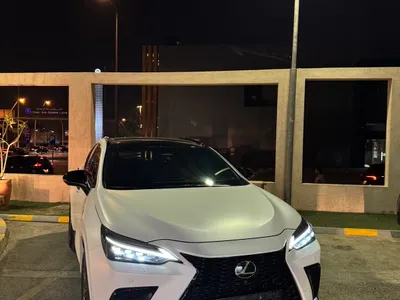 2025 لكزس إن إكس 350 إف