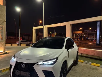 2025 لكزس إن إكس 350 إف