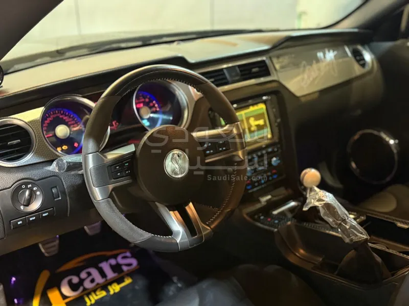 2010 Ford Mustang Shelby Cobra