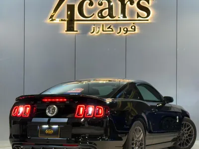 2010 Ford Mustang Shelby Cobra