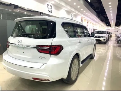 2019 Infiniti QX 80