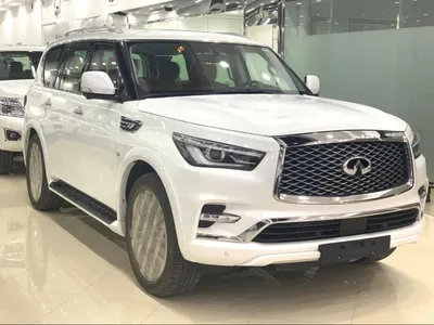 2019 Infiniti QX 80