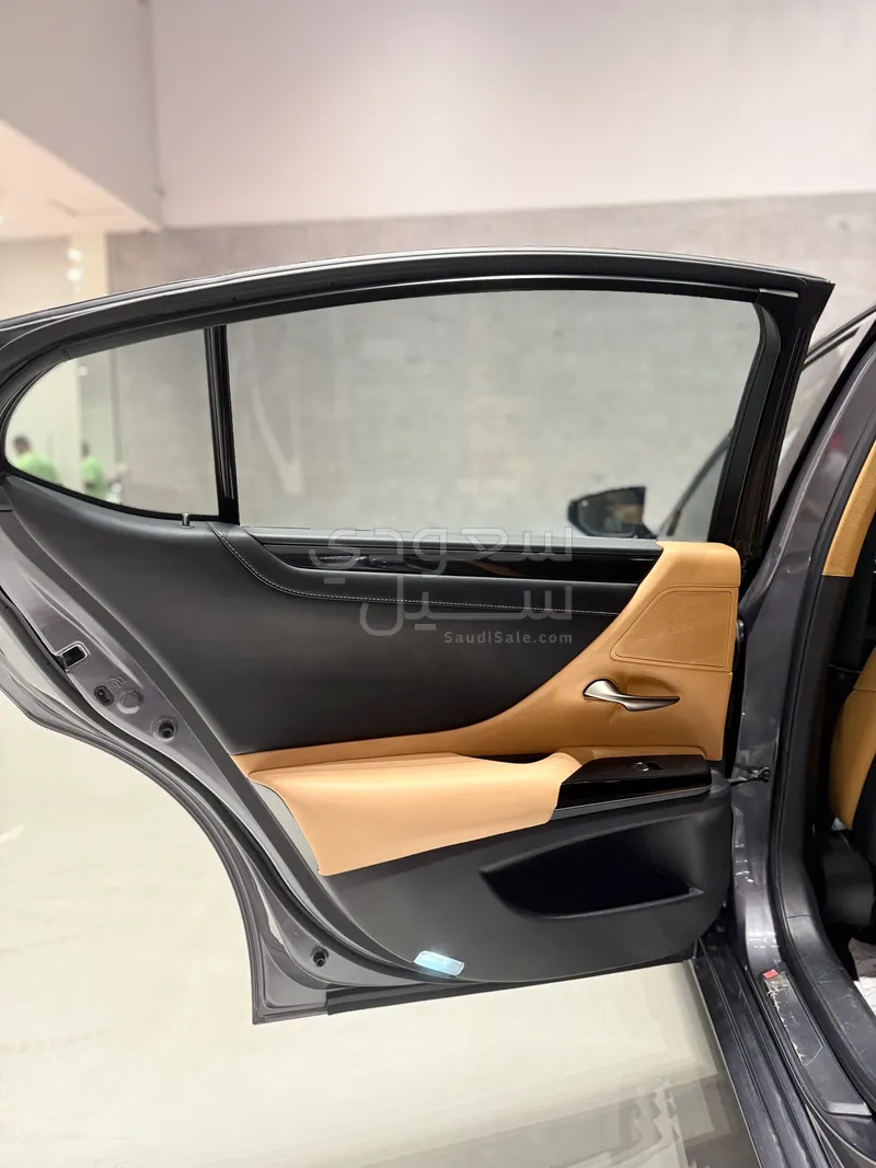 2022 Lexus ES 250