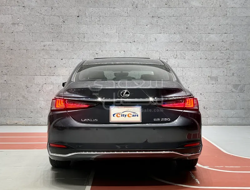 2022 Lexus ES 250