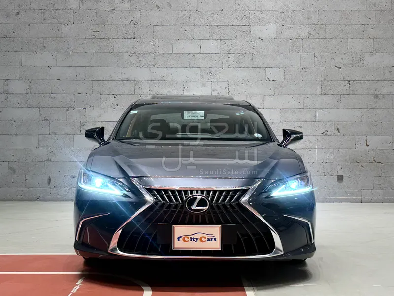 2022 Lexus ES 250