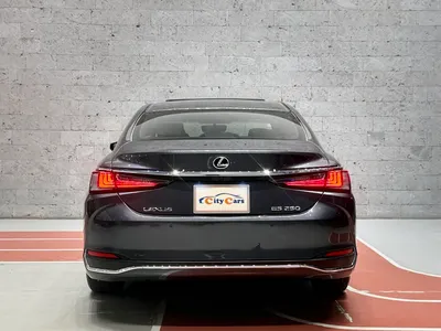 2022 Lexus ES 250