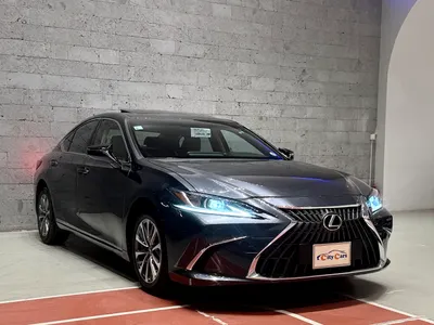 2022 Lexus ES 250