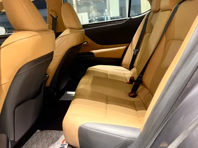 2022 Lexus ES 250