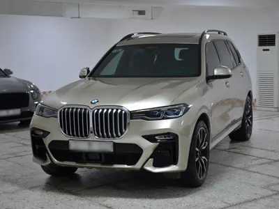 2019 BMW X Series 7
