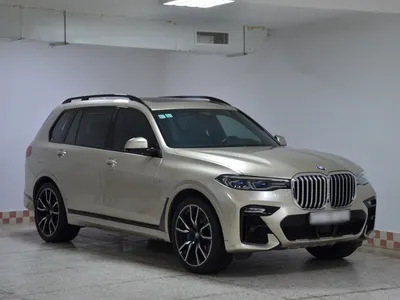 2019 BMW X Series 7