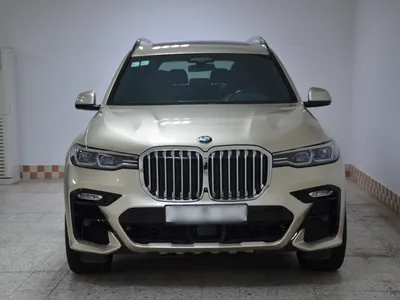 2019 BMW X Series 7