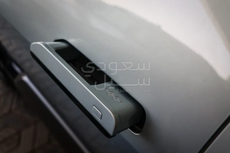 2025 بي واي دي ليوبارد 8