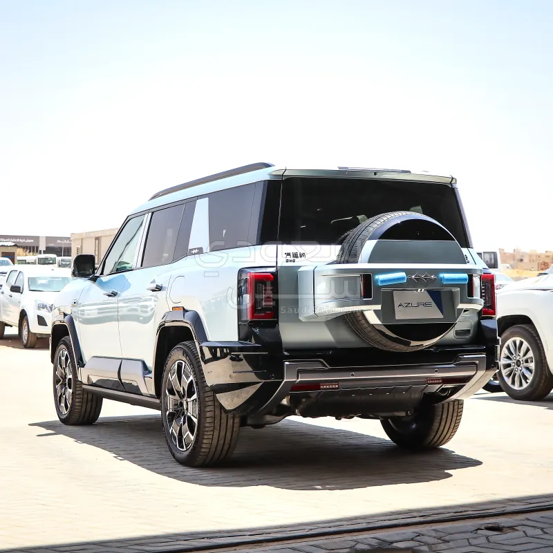 2025 بي واي دي ليوبارد 8