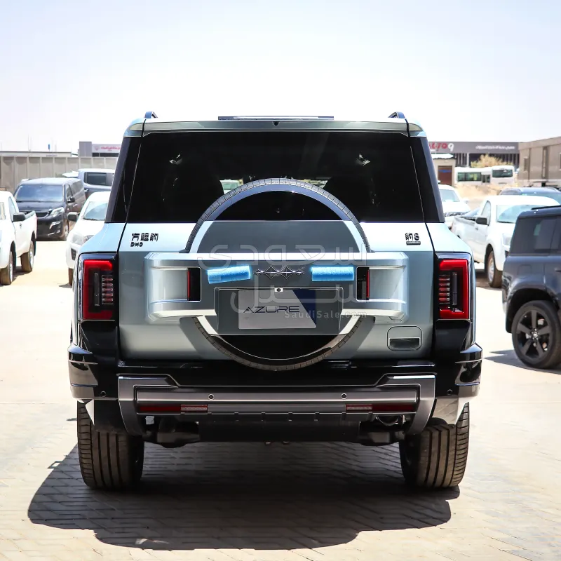 2025 بي واي دي ليوبارد 8