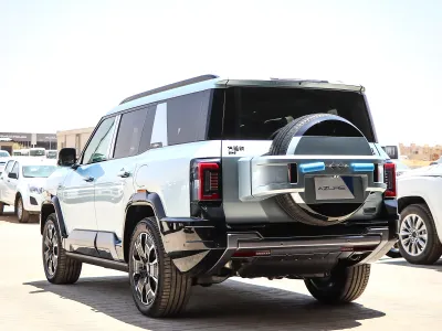 2025 بي واي دي ليوبارد 8