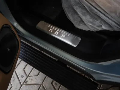 2025 بي واي دي ليوبارد 8