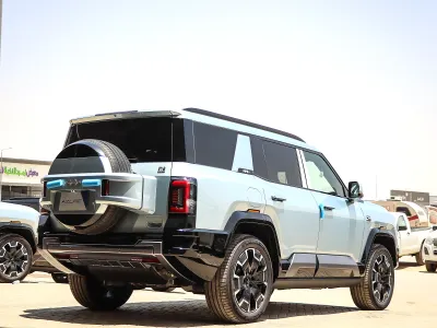 2025 بي واي دي ليوبارد 8