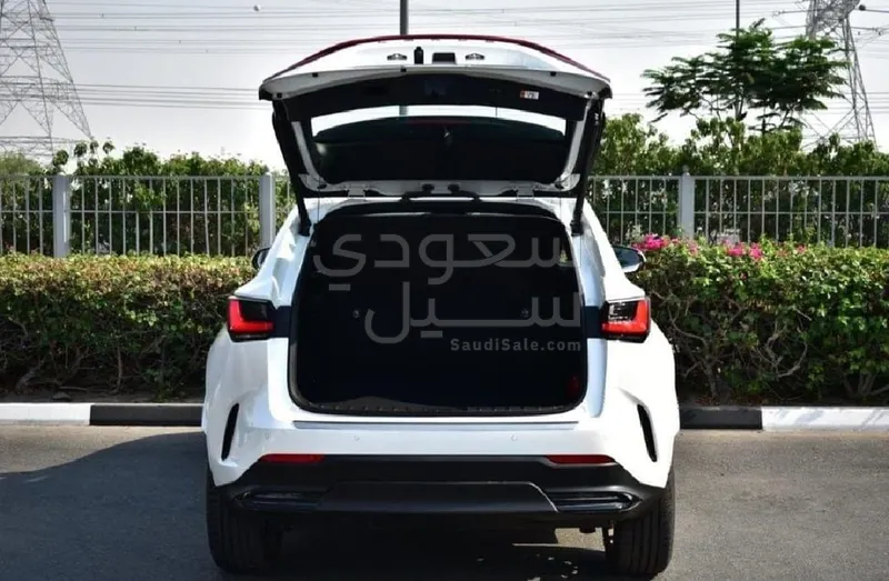2025 لكزس إن إكس 350