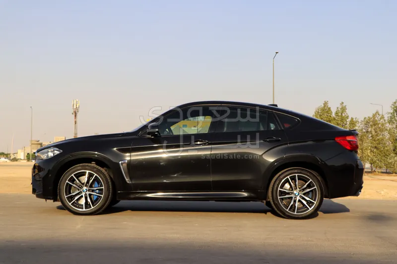 2016 BMW X Series 6 M