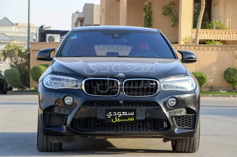 2016 BMW X Series 6 M