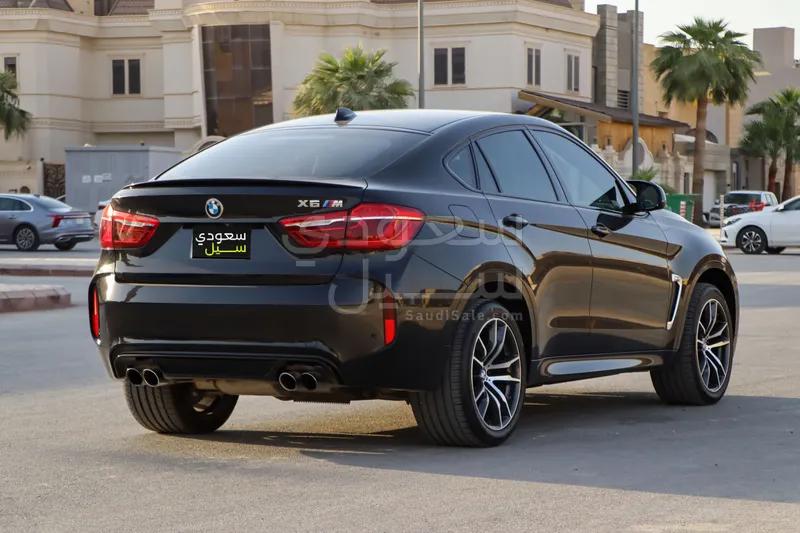 2016 BMW X Series 6 M