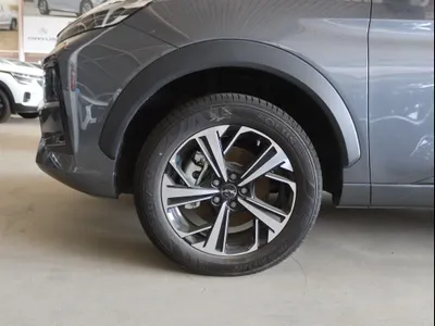 2025 JAC J6