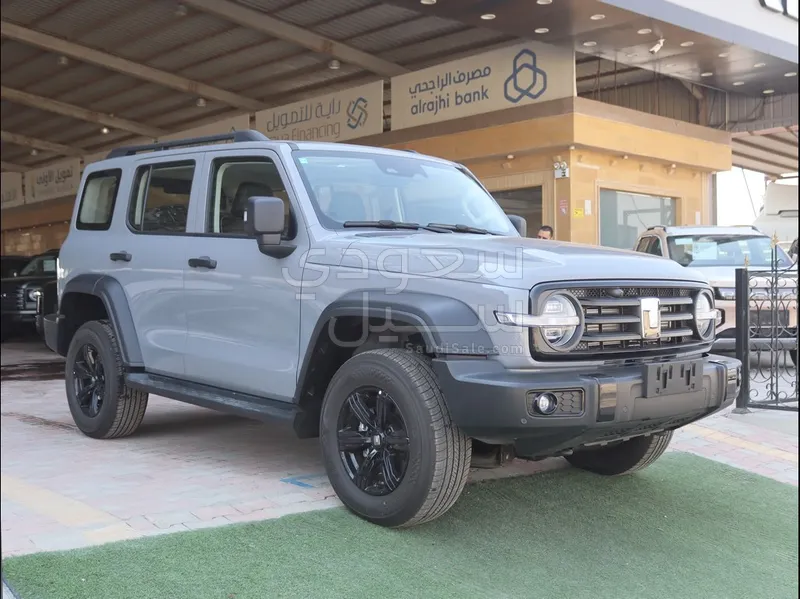 2025 تانك 300