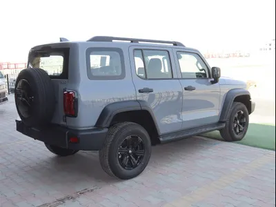 2025 تانك 300