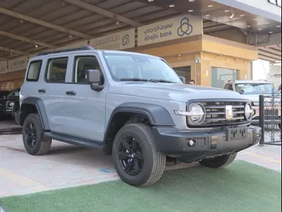 2025 تانك 300
