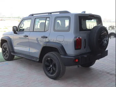 2025 تانك 300