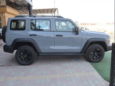 2025 تانك 300