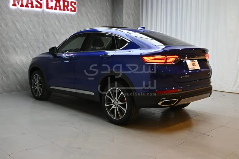 2022 Geely Tugella standard