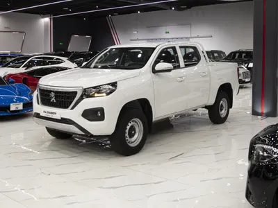 2023 Peugeot Pick up