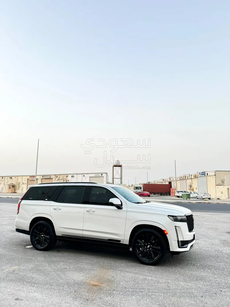 2024 كاديلاك اسكاليد بلاتينيوم
