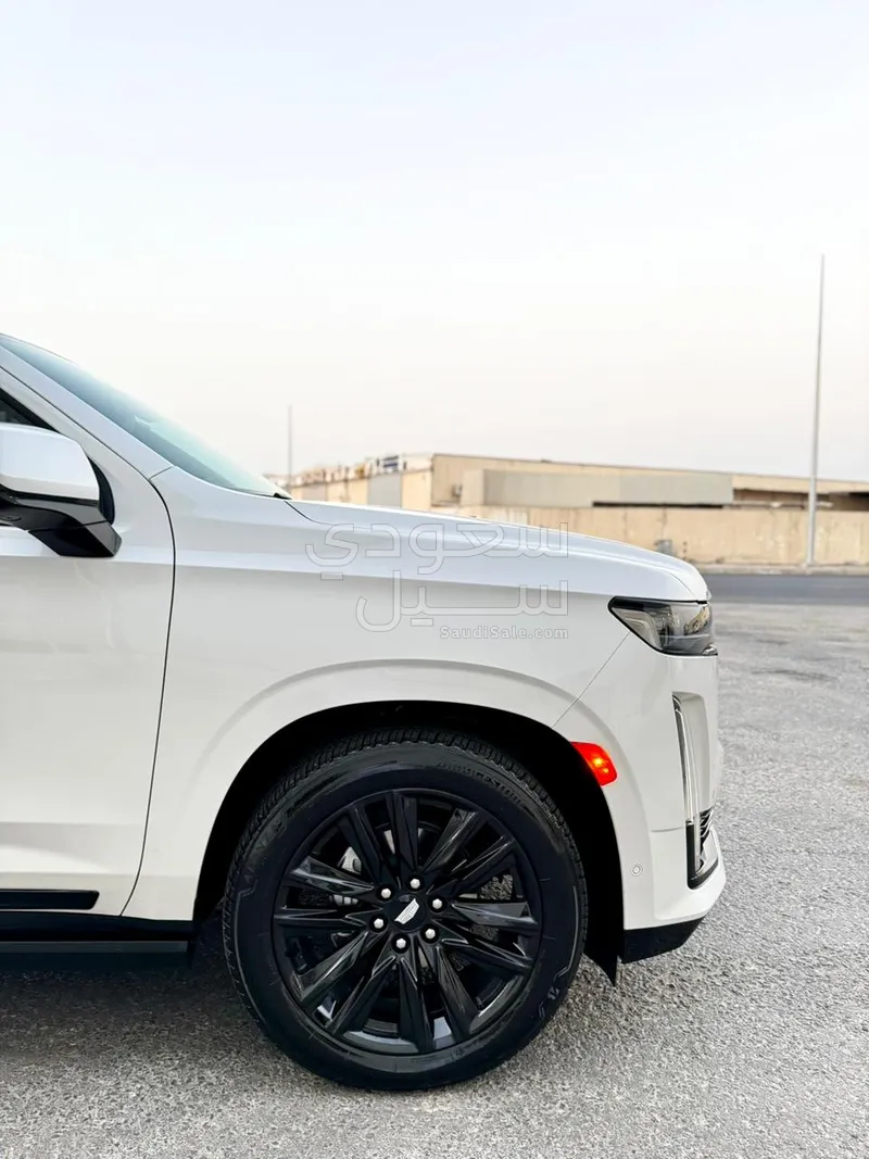 2024 كاديلاك اسكاليد بلاتينيوم