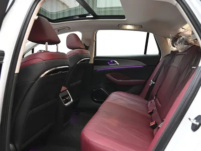 2024 Hongqi ousado Luxury