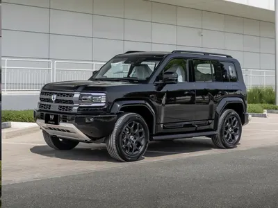 2026 بي واي دي ليوبارد 5