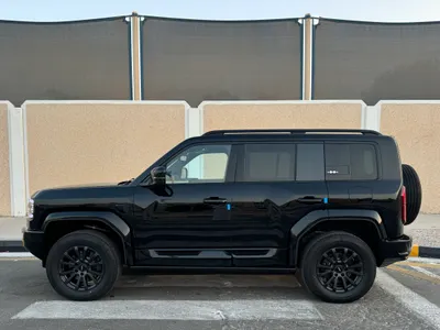 2025 BYD Leopard 5